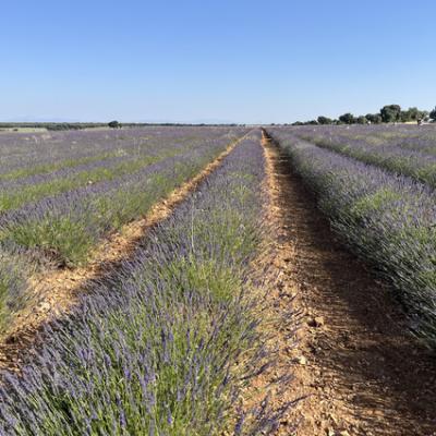 20250628 080019548 Ios